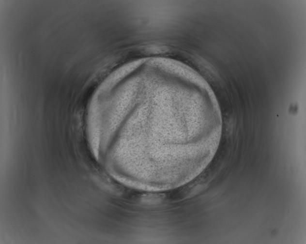 X0000091850373200710031646
