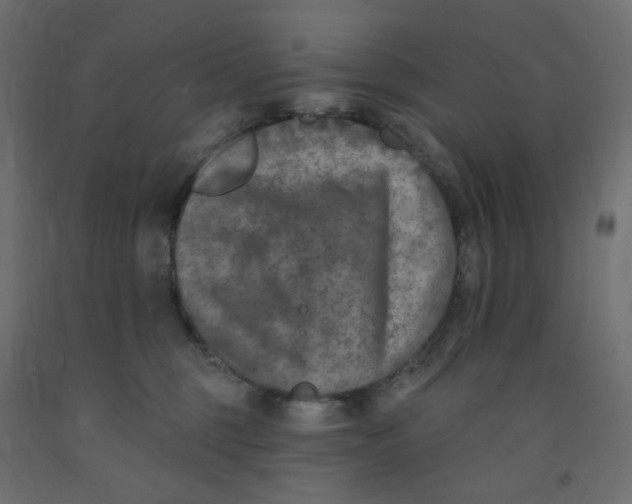 X0000091850375200710031646