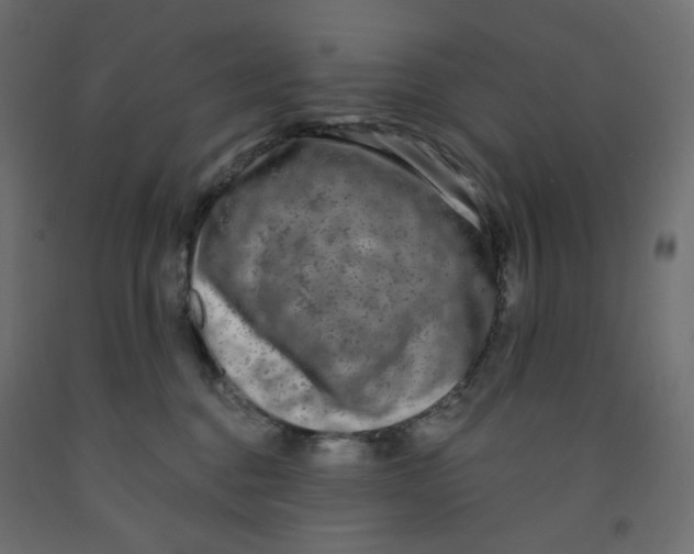 X0000091850376200710031646