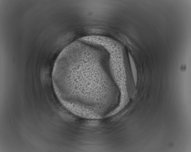 X0000091850377200710031646