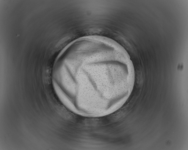X0000091850378200710031646