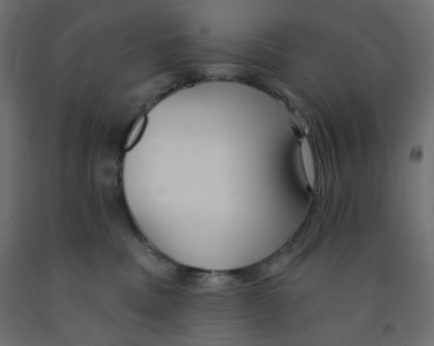 X0000091850379200710031646
