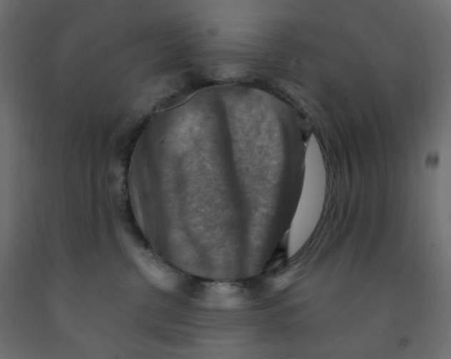 X0000091850380200710031646