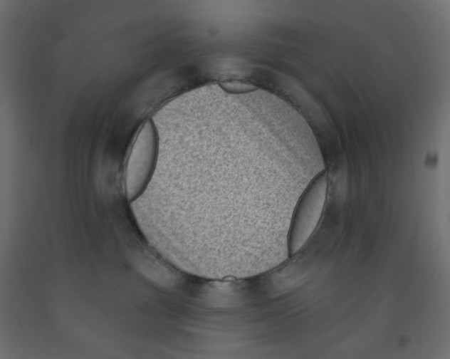 X0000091850381200710031646