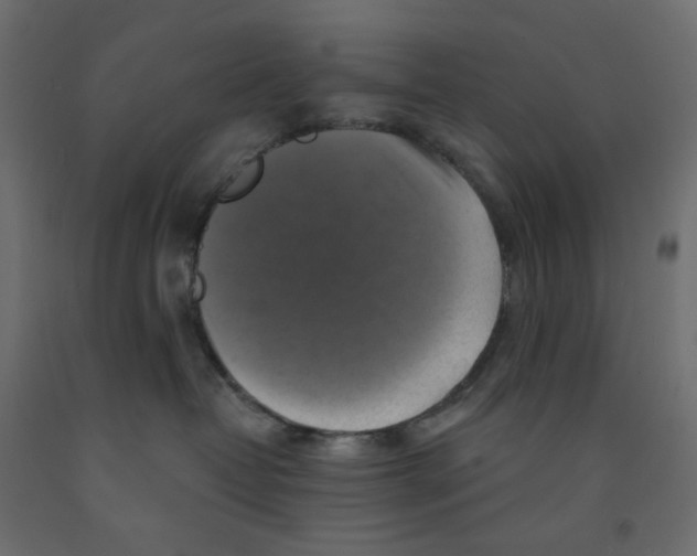X0000091850382200710031646