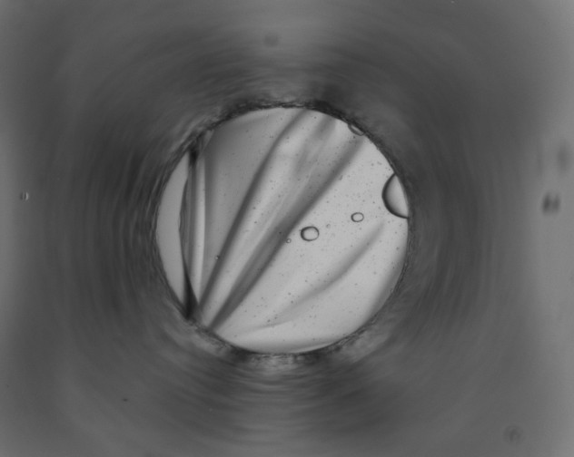 X0000091850384200710031646