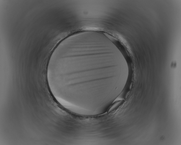 X0000091850385200710031645