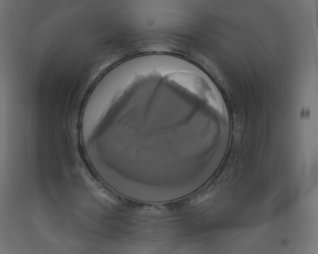 X0000091850386200710031645