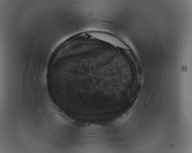 X0000091850387200710031645