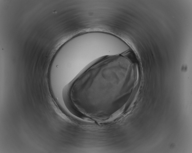 X0000091850389200710031645