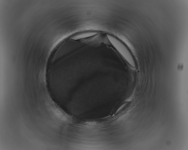 X0000091850391200710031645