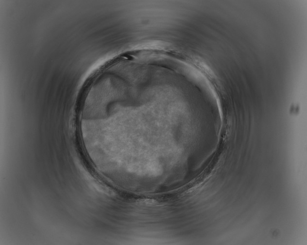 X0000091850392200710031645