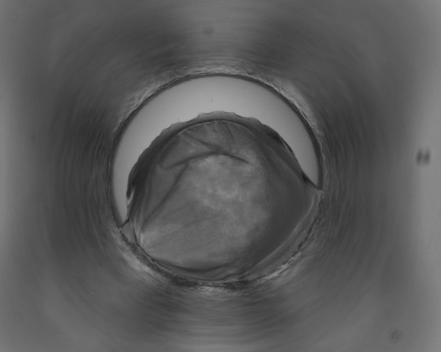 X0000091850393200710031645
