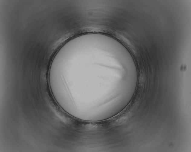 X0000091850394200710031645