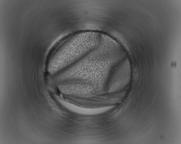 X0000091850395200710031645