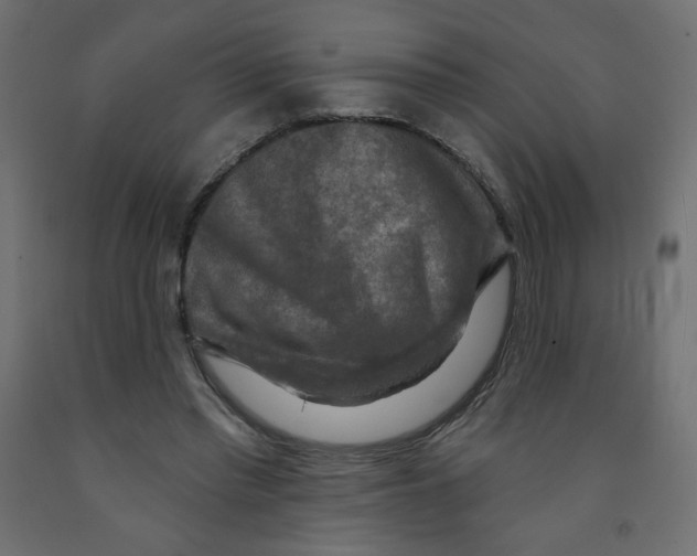 X0000091850397200710031645