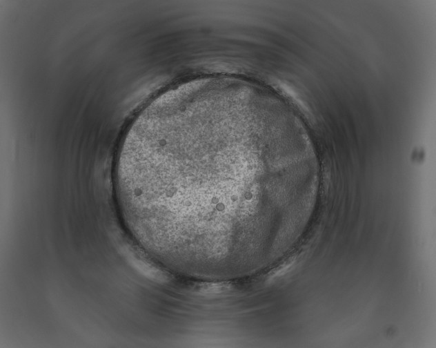 X0000091850398200710031645