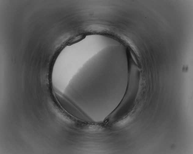 X0000091850399200710031645