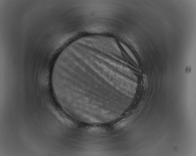 X0000091850400200710031645