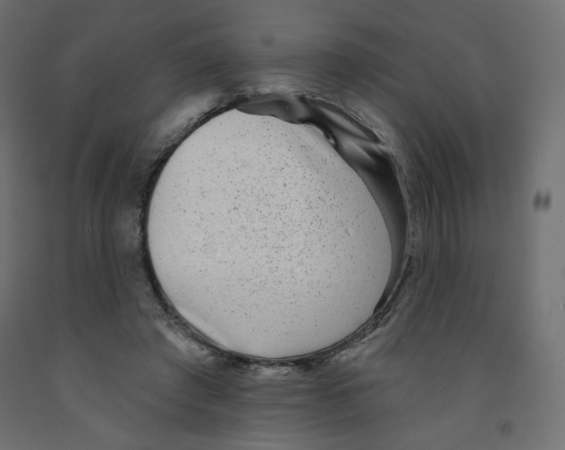 X0000091850401200710031645