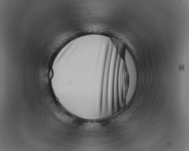 X0000091850403200710031645
