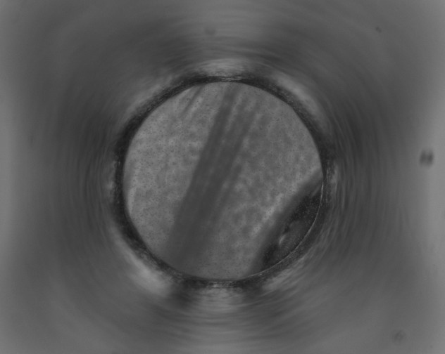 X0000091850404200710031645