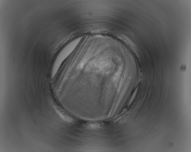 X0000091850405200710031645