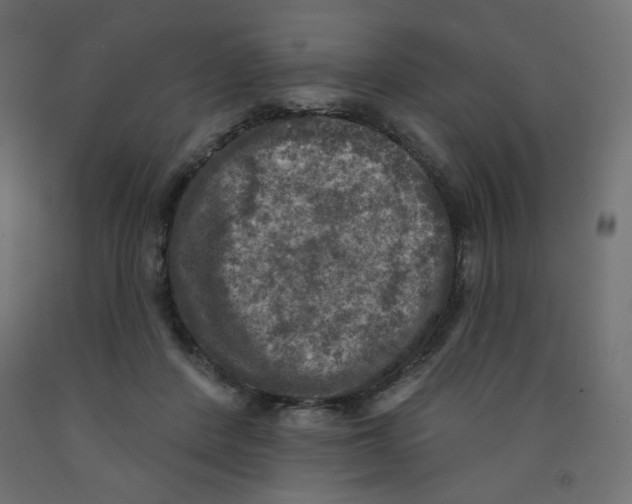 X0000091850408200710031645
