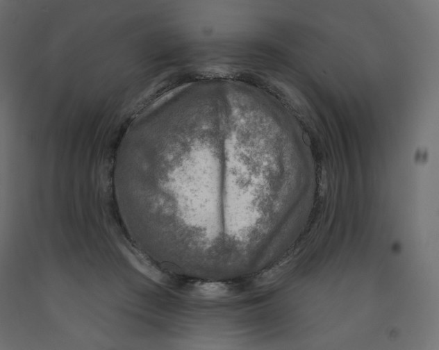 X0000091850409200710031645