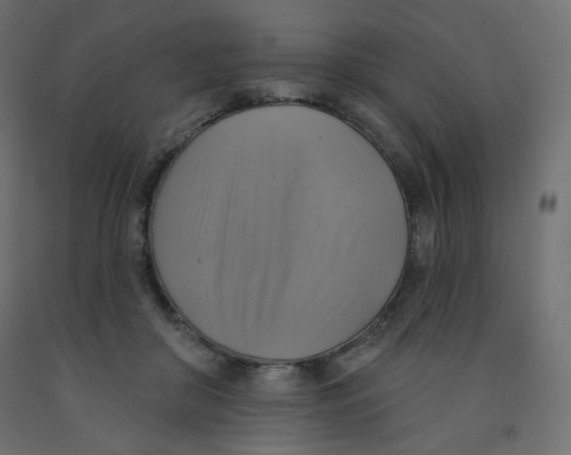 X0000091850410200710031645
