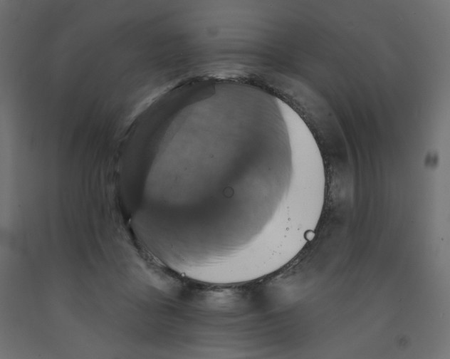 X0000091850411200710031645