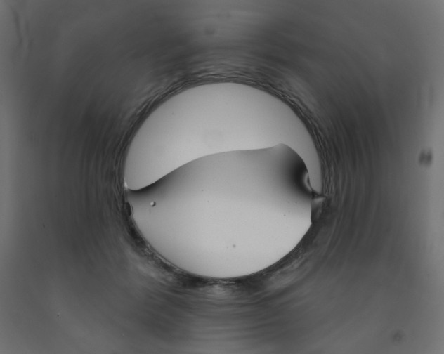 X0000091850412200710031645