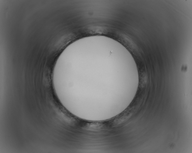 X0000091850414200710031645