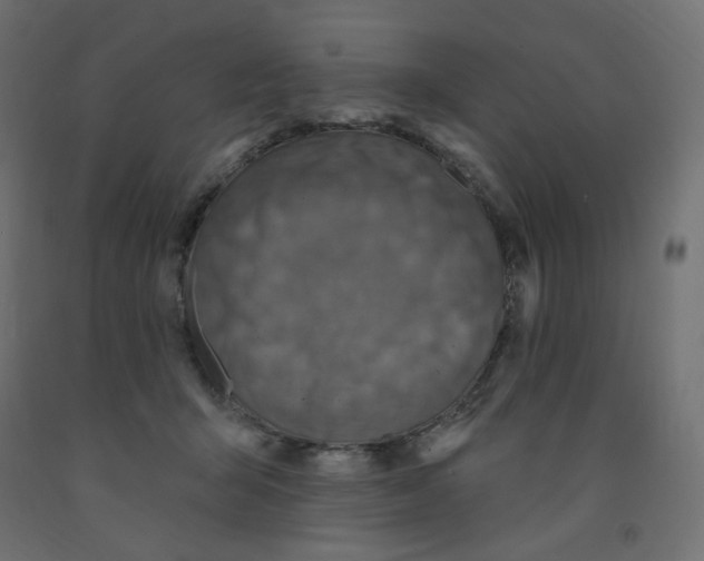 X0000091850415200710031645