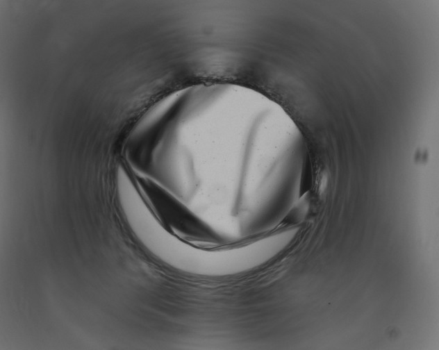 X0000091850416200710031645