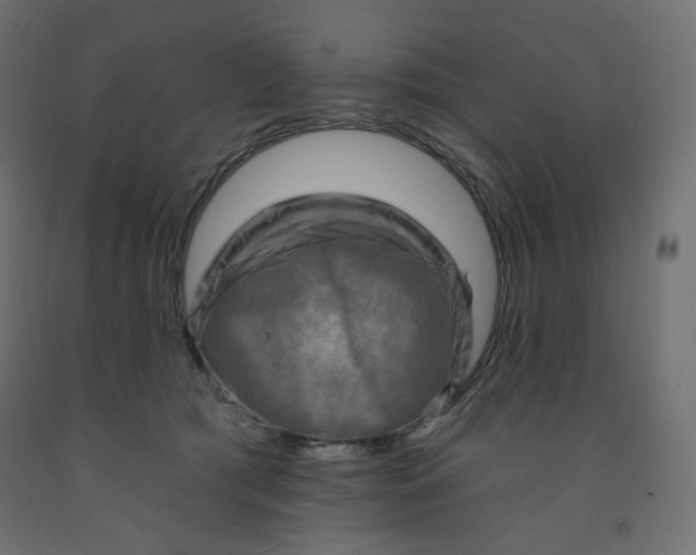 X0000091850417200710031645