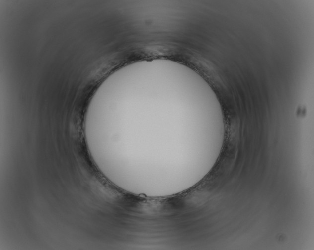 X0000091850418200710031645
