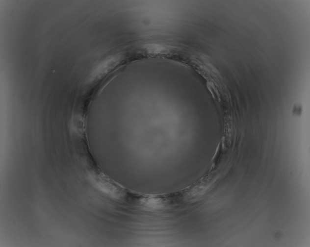 X0000091850419200710031645