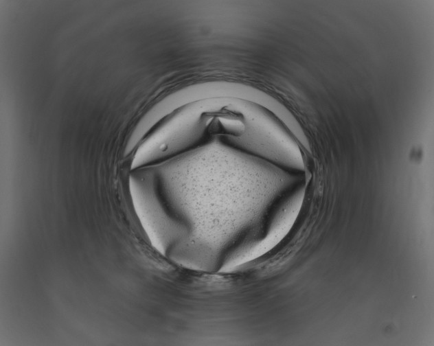 X0000091850421200710031645