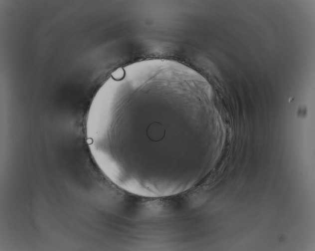 X0000091850423200710031645