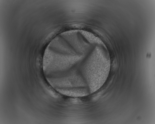 X0000091850424200710031645