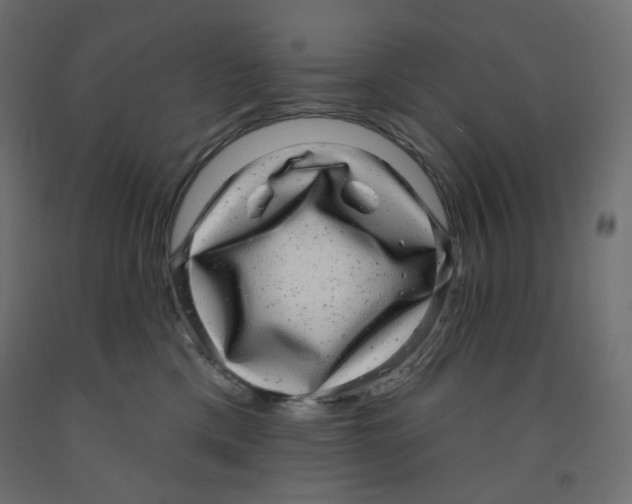 X0000091850425200710031645