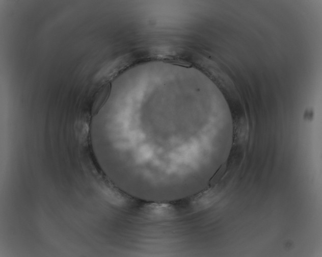 X0000091850427200710031645