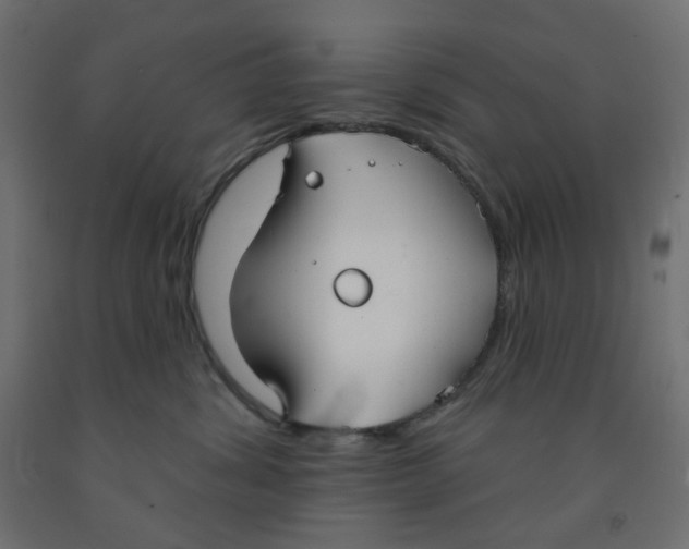 X0000091850428200710031645
