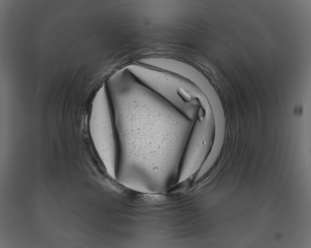 X0000091850429200710031645