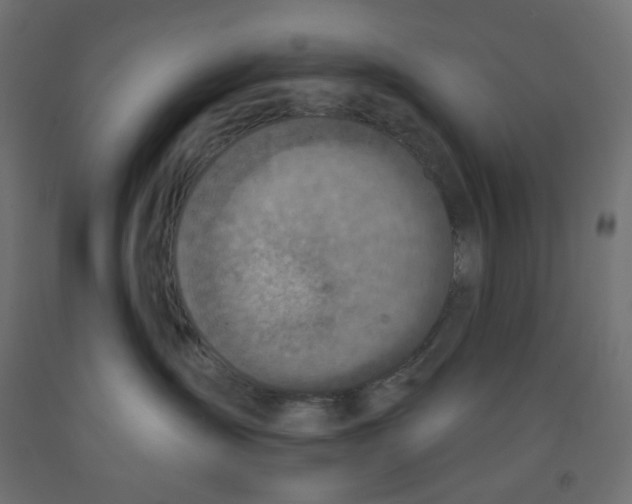 X0000091850431200710031645