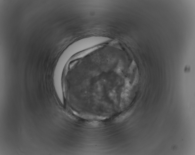 X0000091850432200710031645
