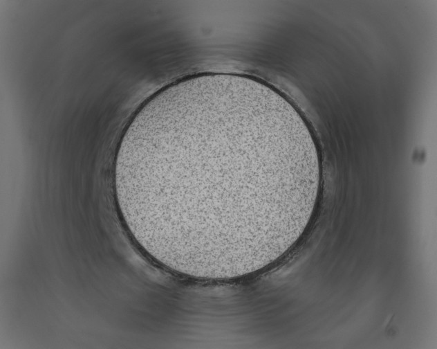X0000091850433200710031644