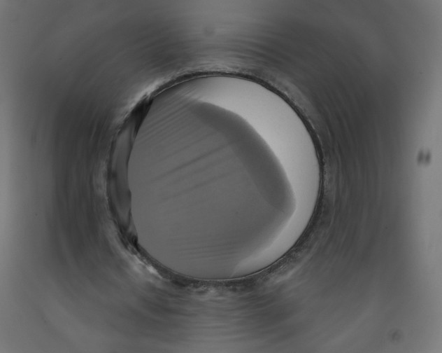 X0000091850434200710031644