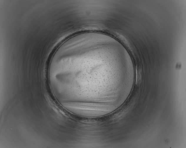 X0000091850435200710031644